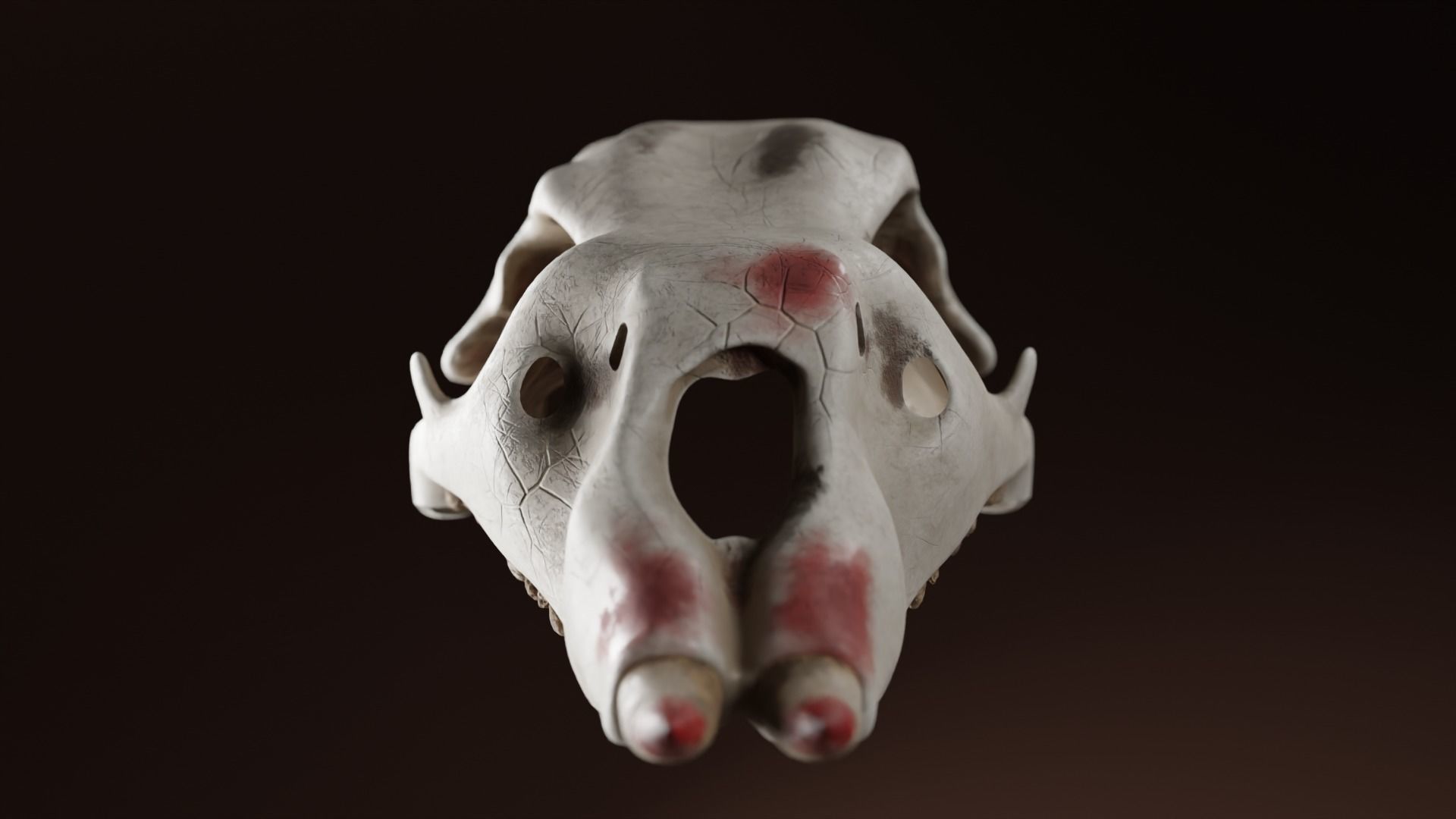 Prehistoric brass knuckles skull Low-poly 3D model_2