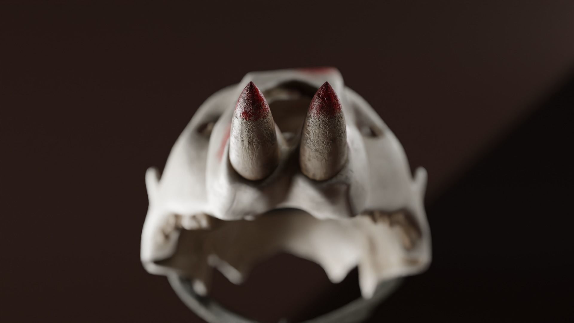 Prehistoric brass knuckles skull Low-poly 3D model_8