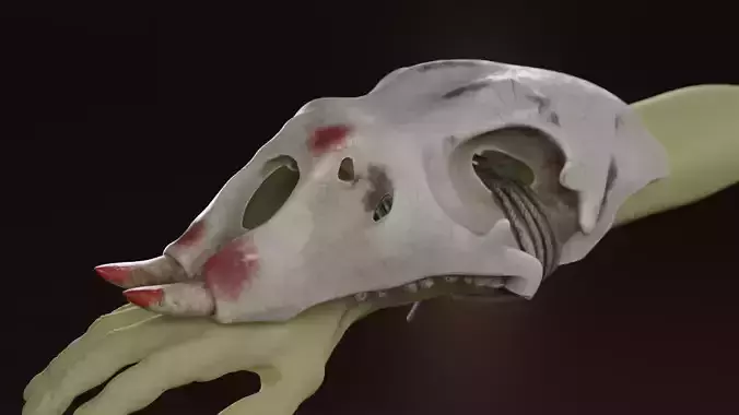 Prehistoric brass knuckles skull