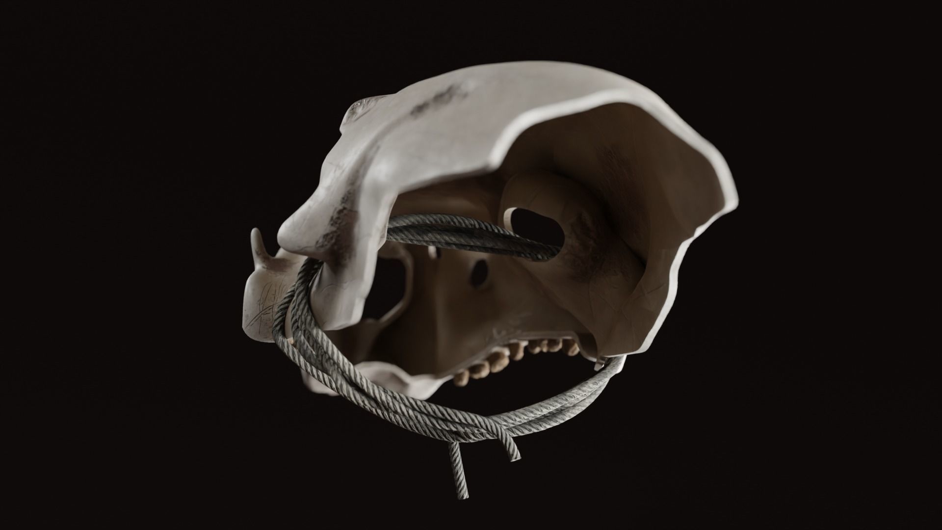 Prehistoric brass knuckles skull Low-poly 3D model_6