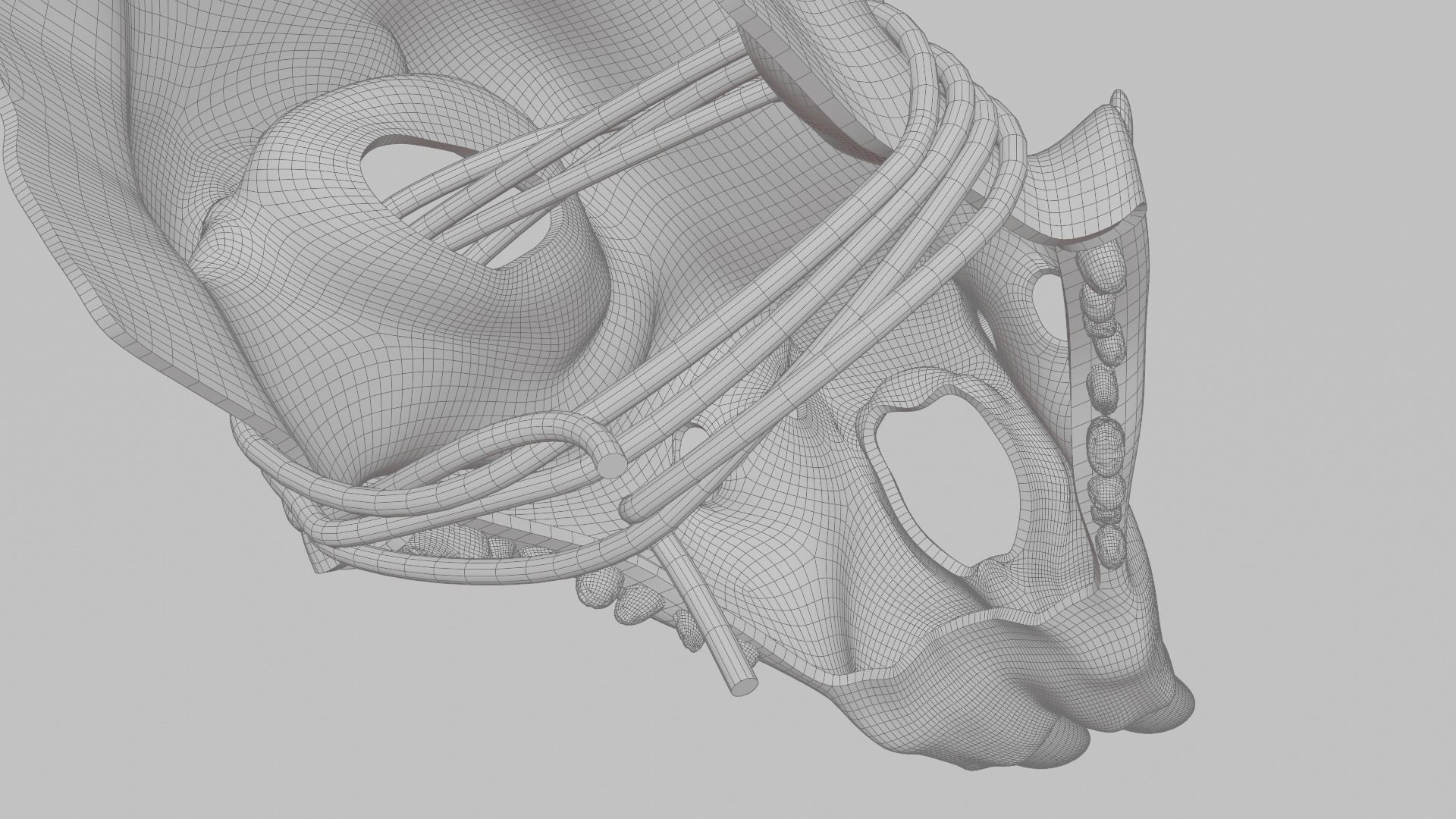 Prehistoric brass knuckles skull Low-poly 3D model_10