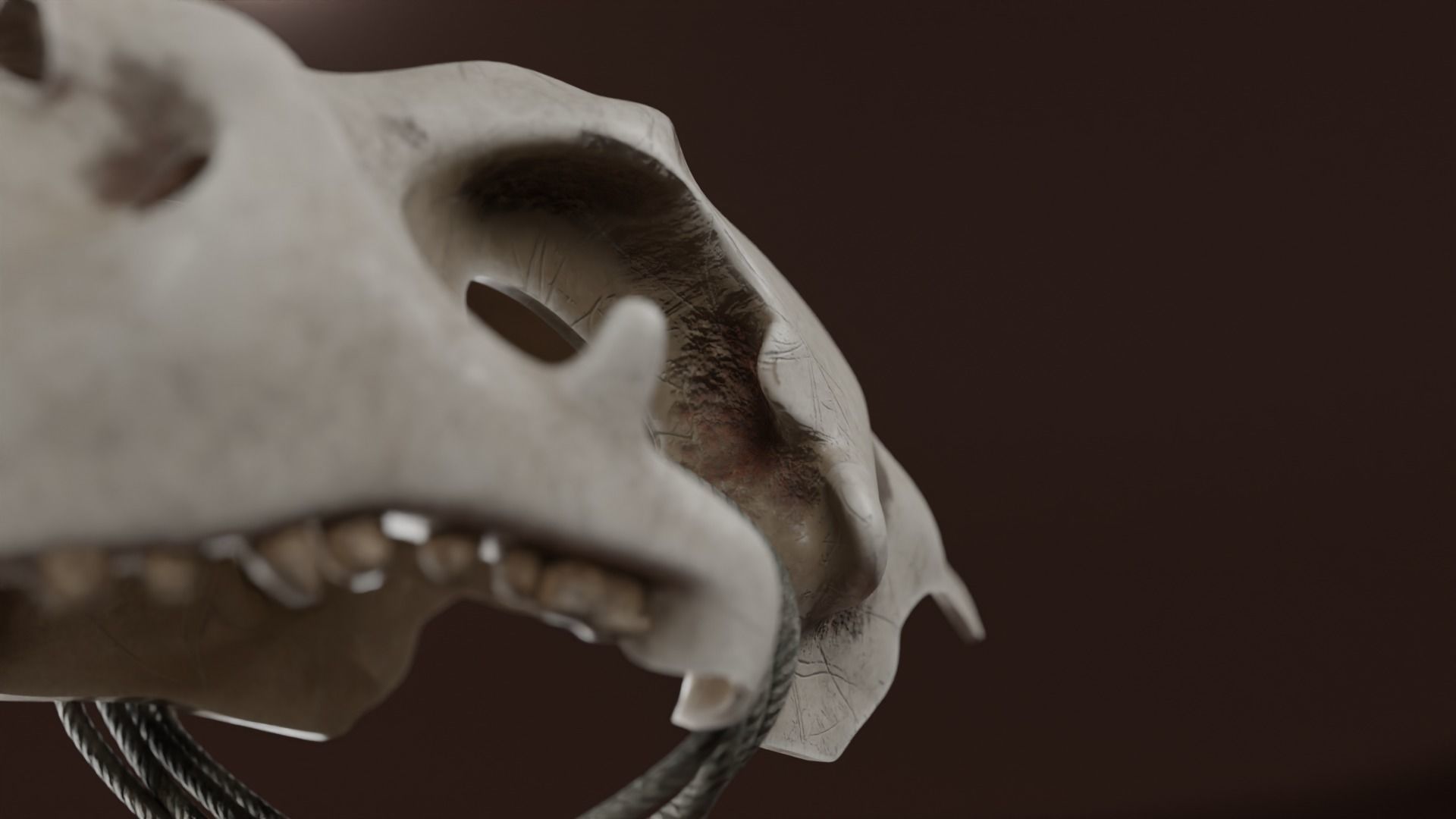 Prehistoric brass knuckles skull Low-poly 3D model_4