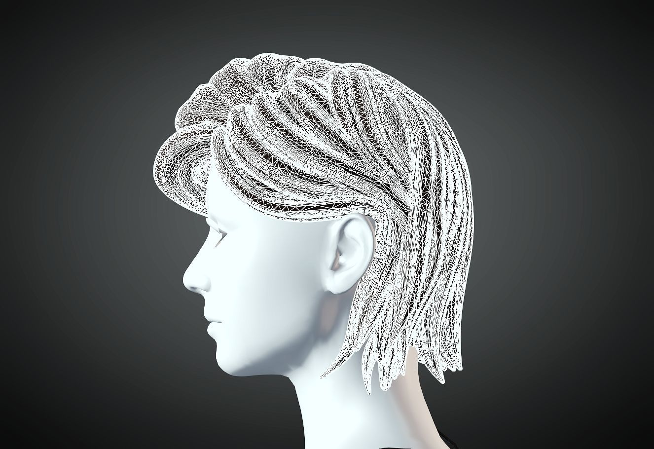 3D Hair style for Female 53 3D model 3D print model_5