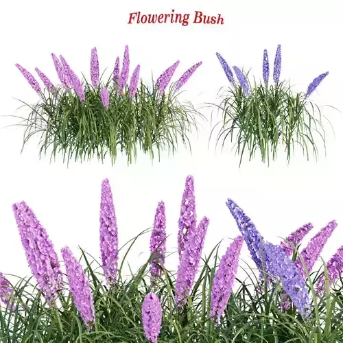 outdoor flowering bush collection vol 74