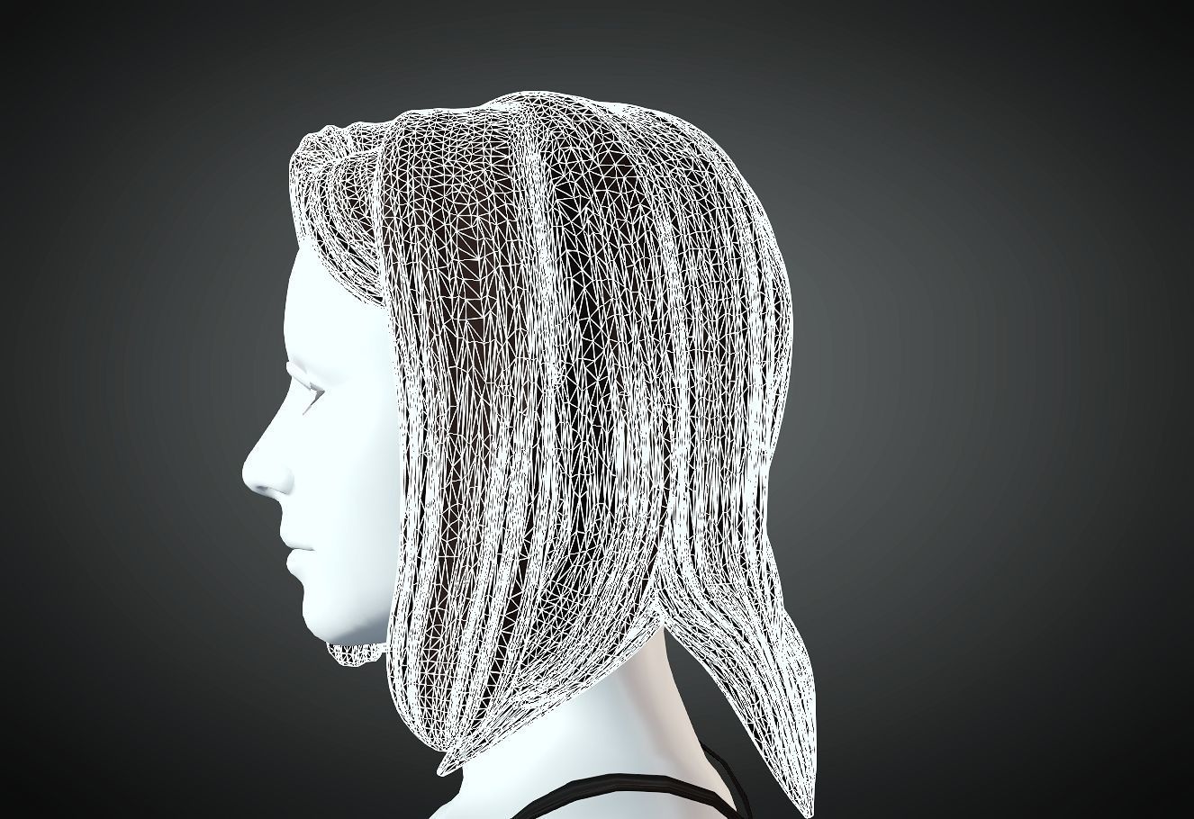 3D Hair style for Female 59 3D model 3D print model_5