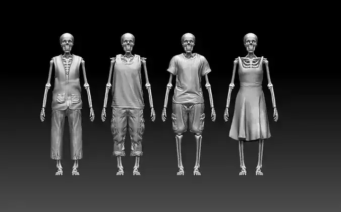 skeleton four skeletons