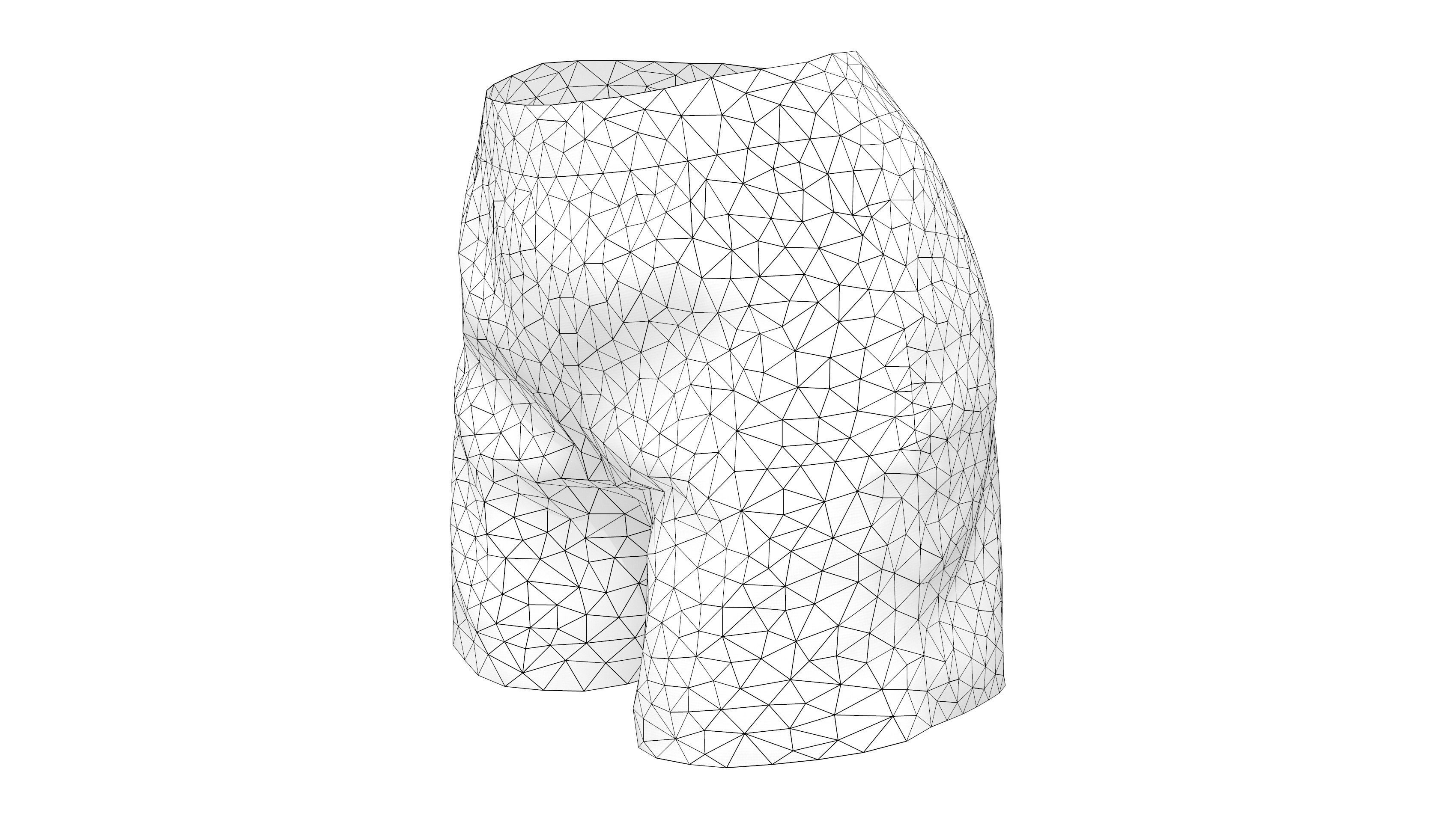 Short Pants Low-poly 3D model_7