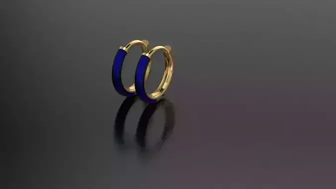Enamel earrings