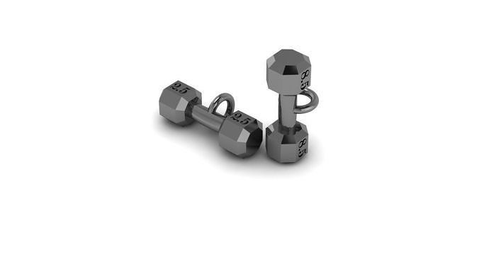 weight lifting 3D print model