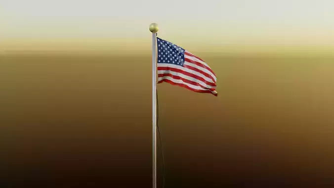 United States Flag 
