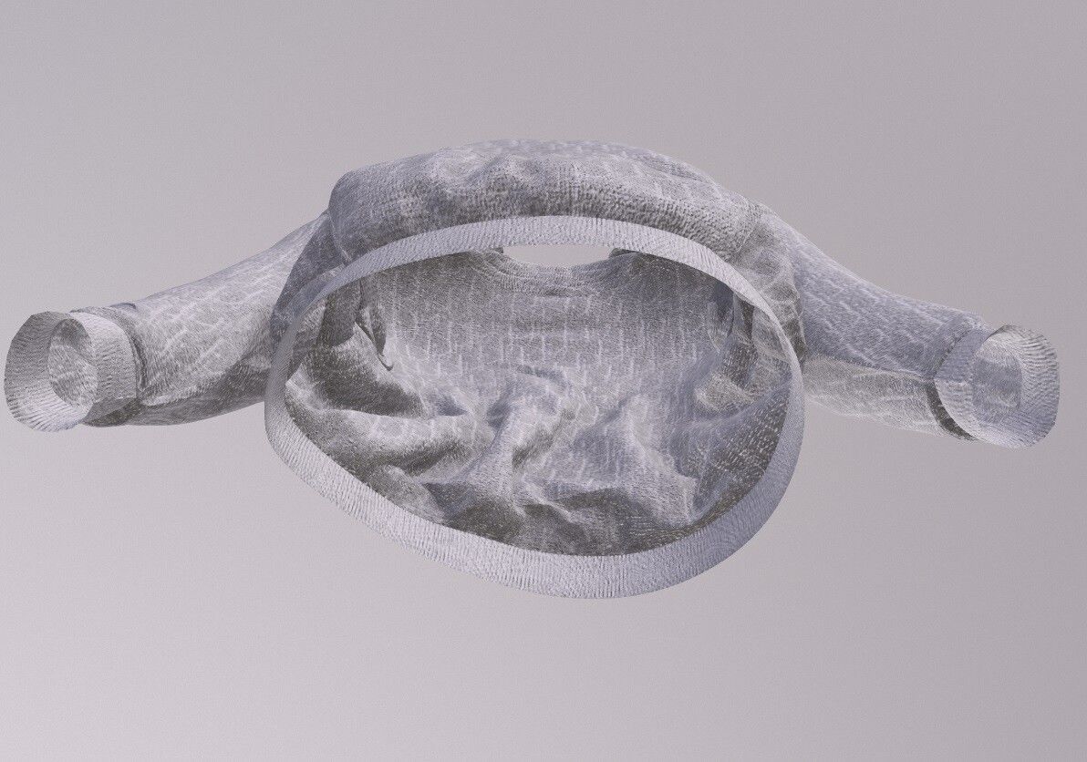 DIOR HOODIE PBR Low-poly 3D model_6