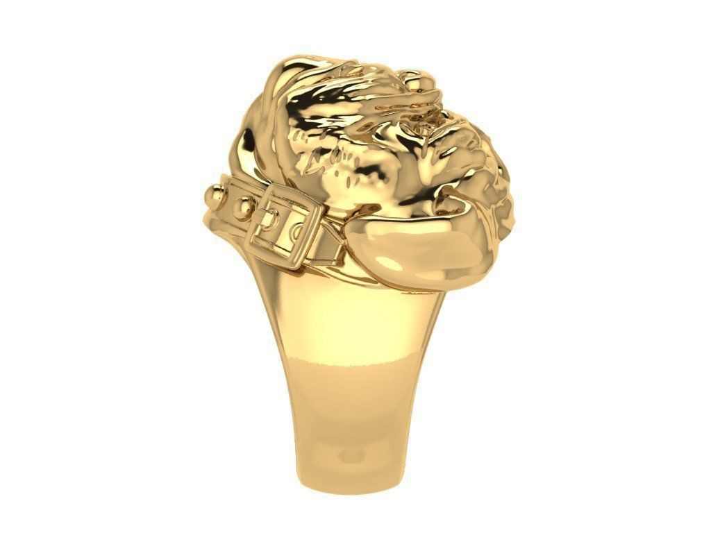 Ring172 bulldog head ring gold 3D print model_3
