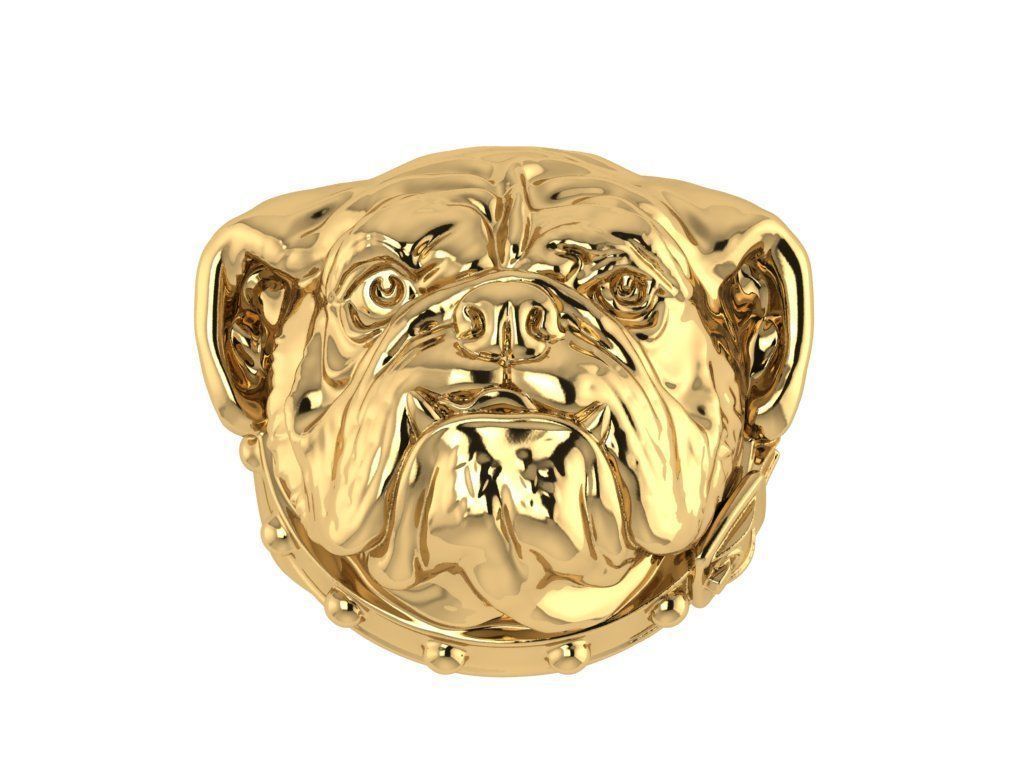 Ring172 bulldog head ring gold 3D print model_1