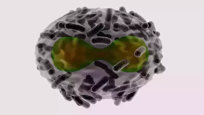 Monkeypox Virus smallpox viruela mono epidemic infection 3D model