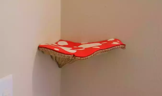 Mushroom shelf