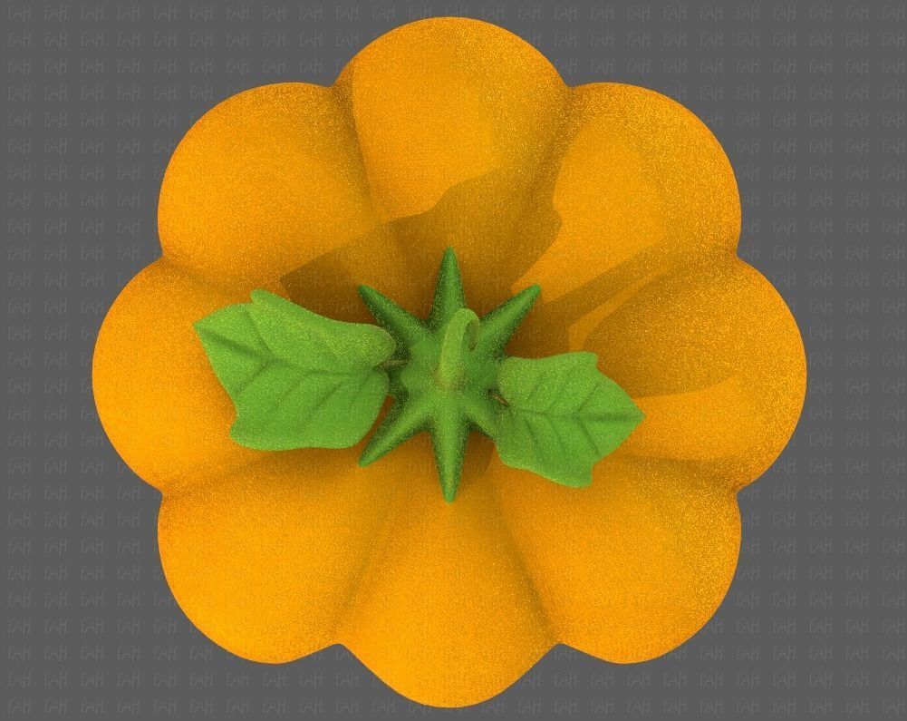 Cap V30 Low-poly 3D model_33