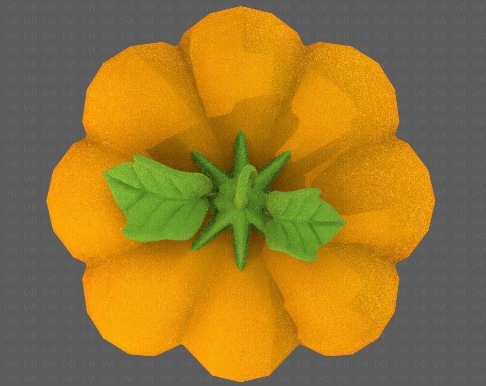 Cap V30 Low-poly 3D model_35