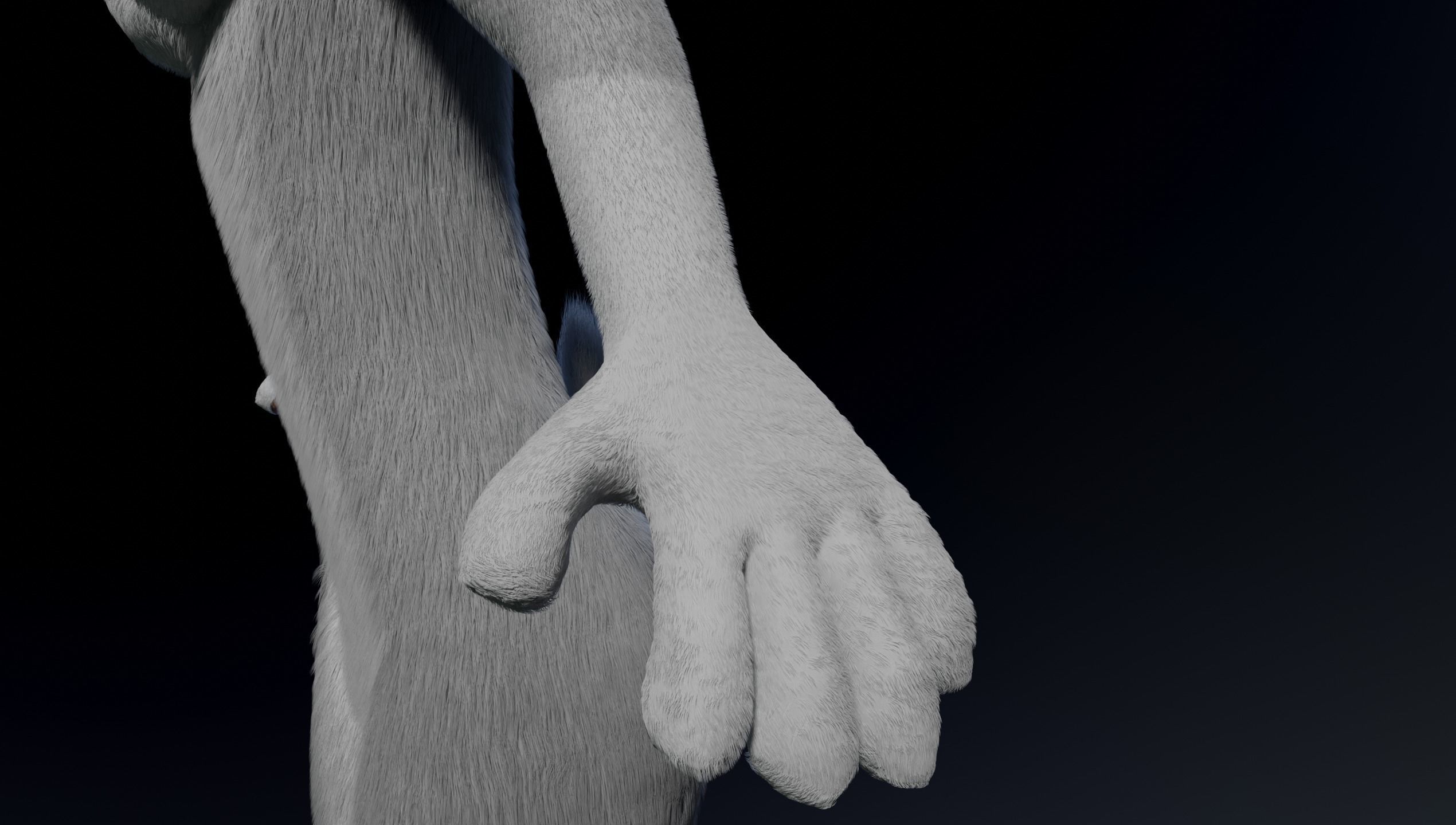 Sara Anthro Rabbit 3D model_11