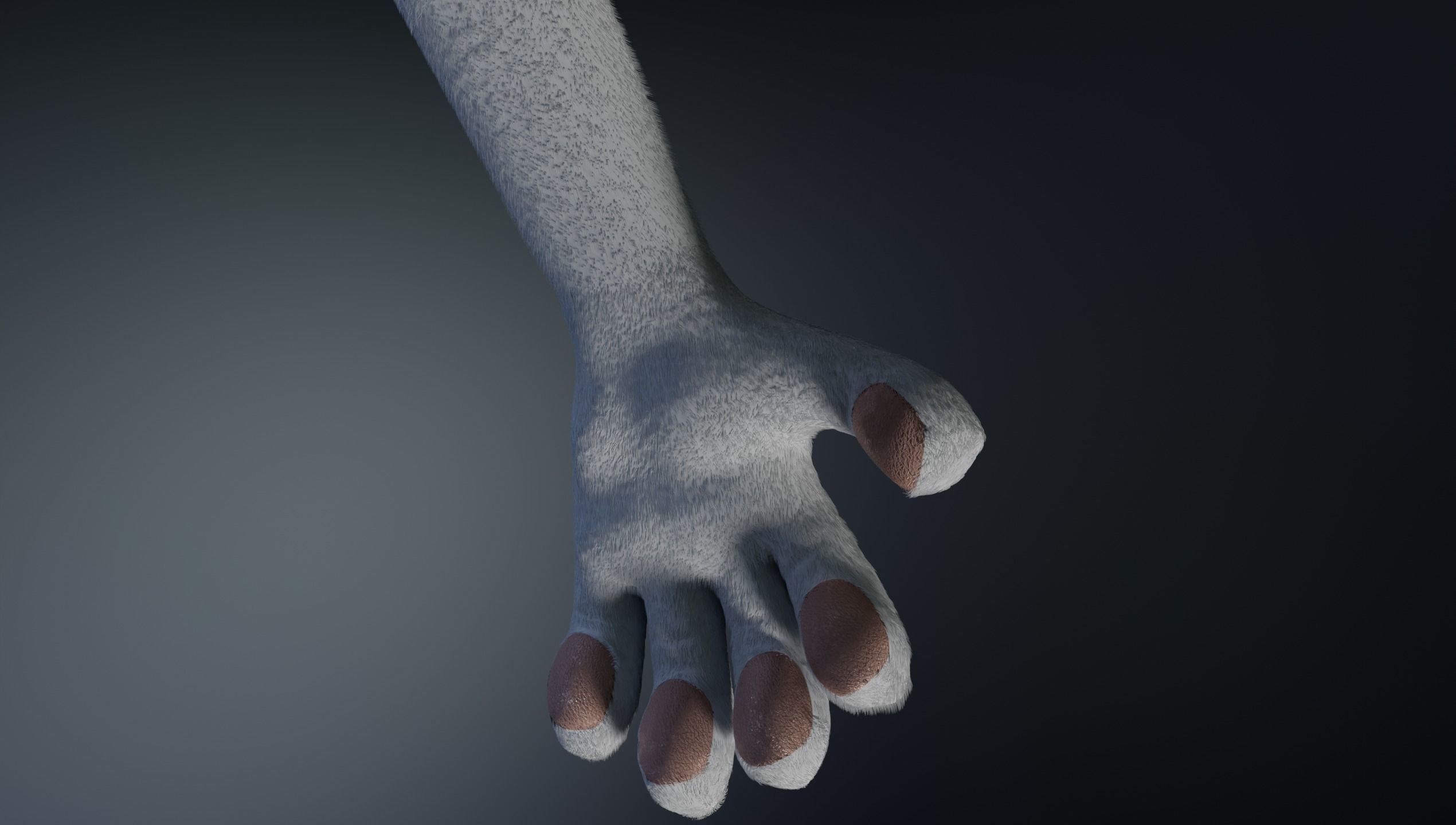 Sara Anthro Rabbit 3D model_12