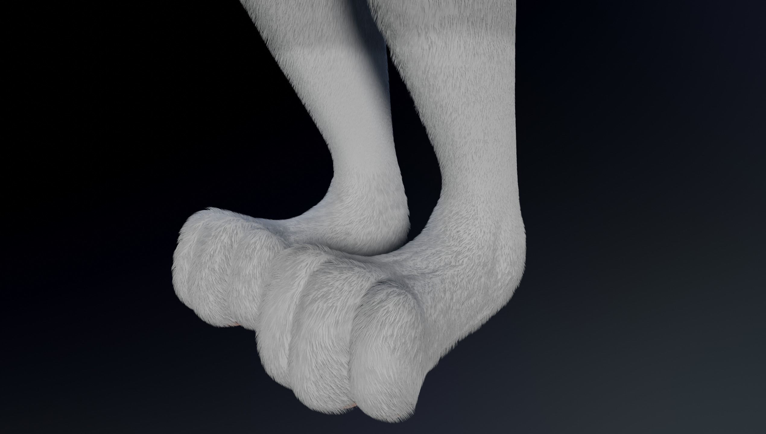 Sara Anthro Rabbit 3D model_13