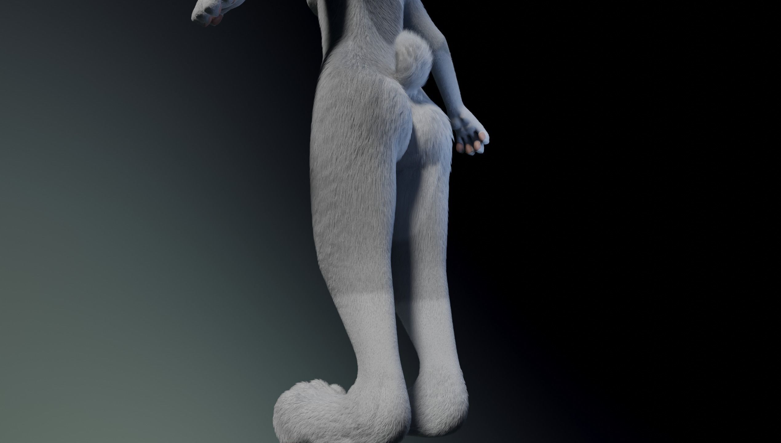 Sara Anthro Rabbit 3D model_9
