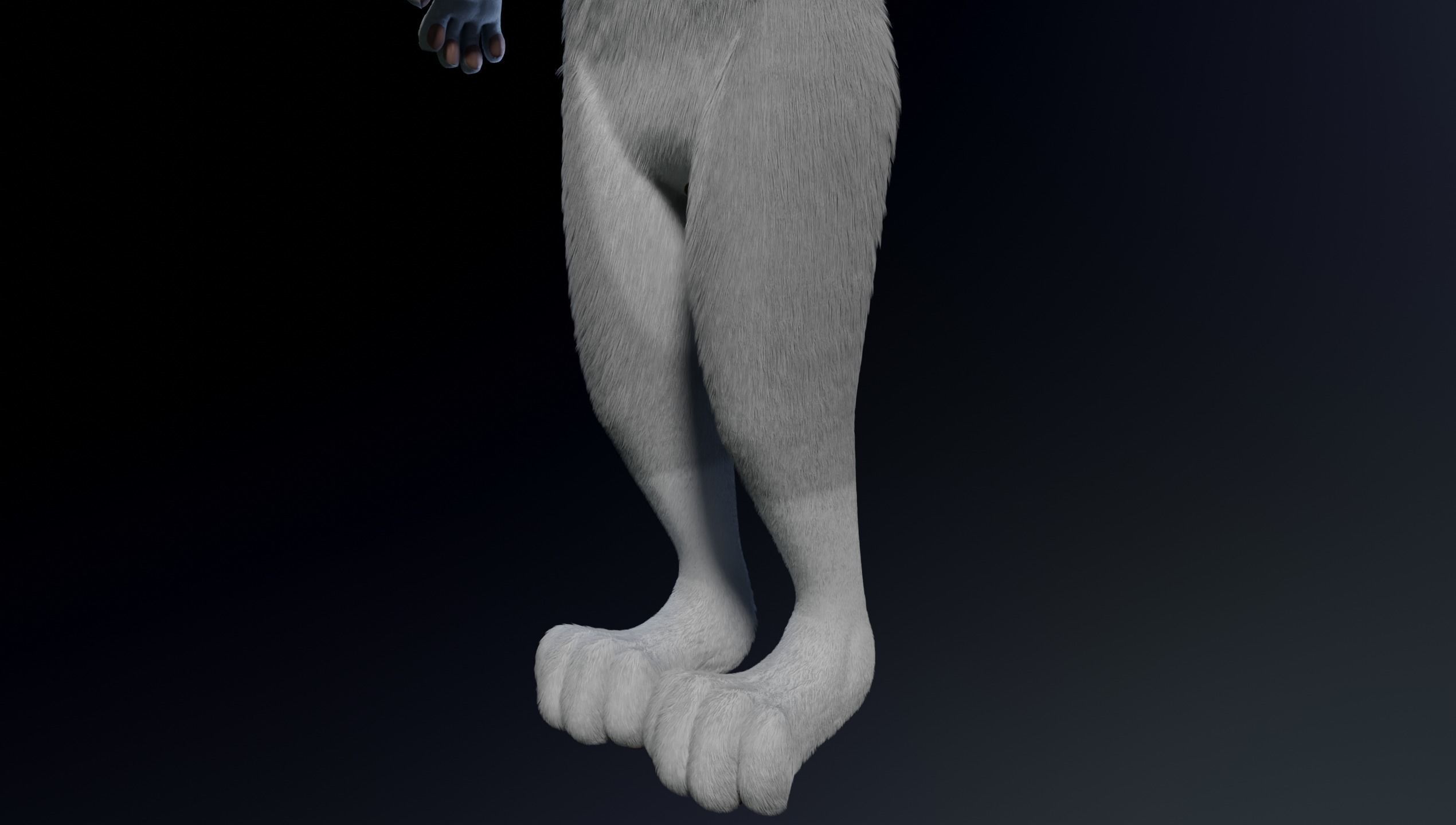 Sara Anthro Rabbit 3D model_8