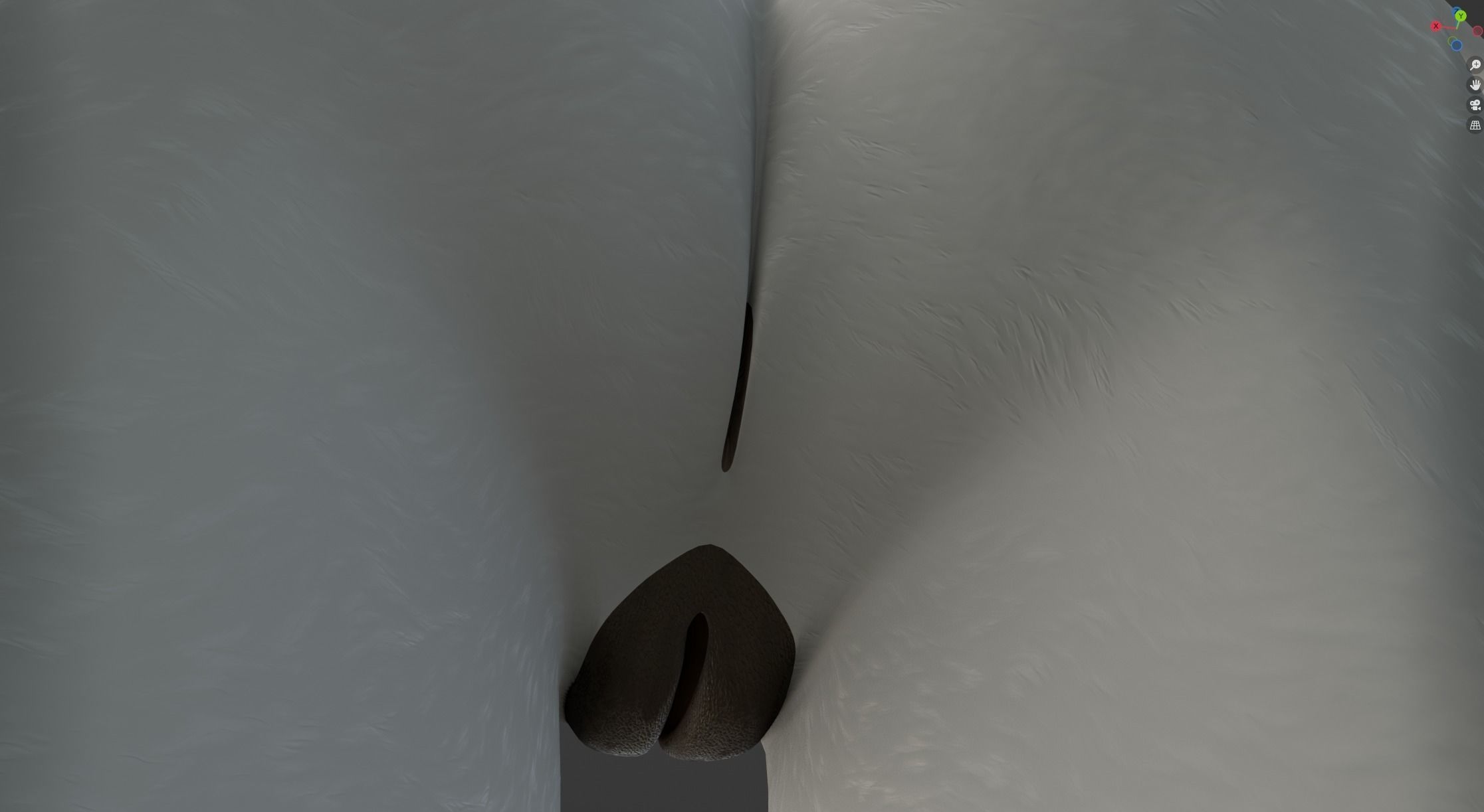 Sara Anthro Rabbit 3D model_57