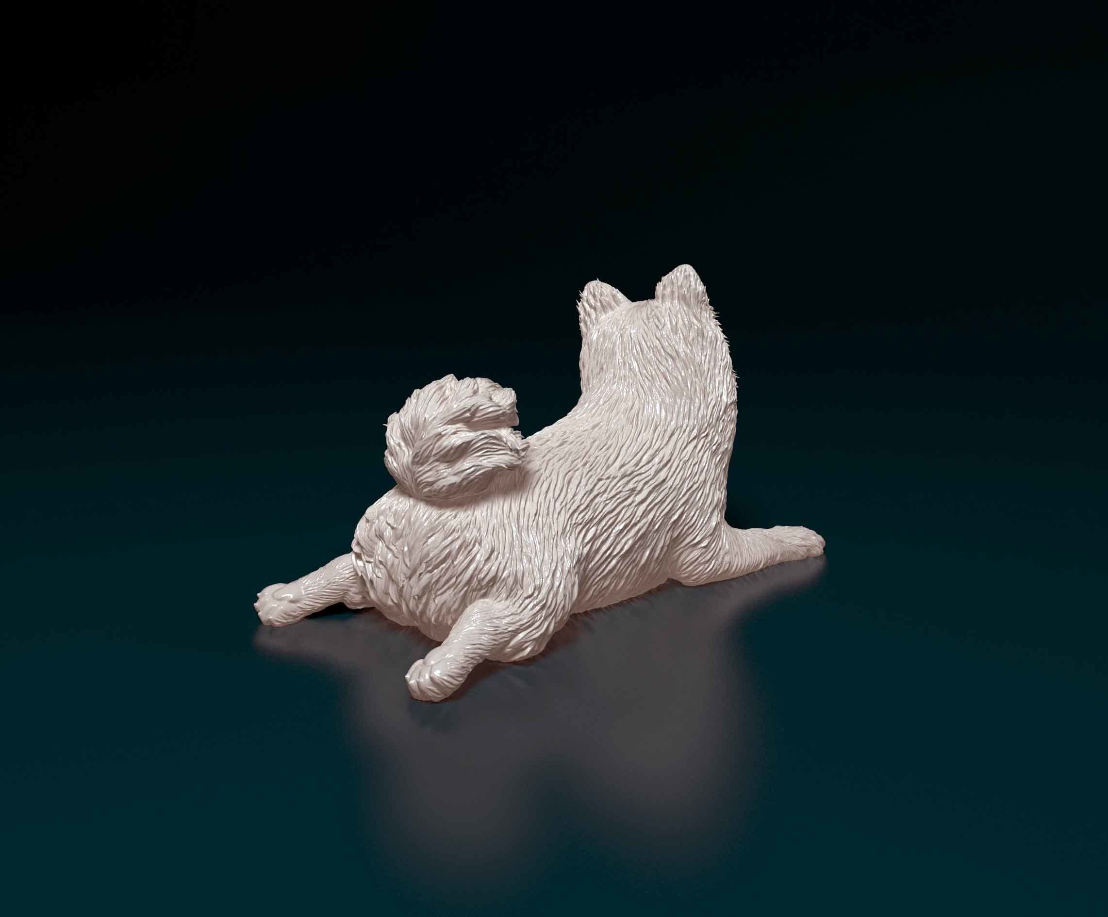 German Spitz 3D print model_3