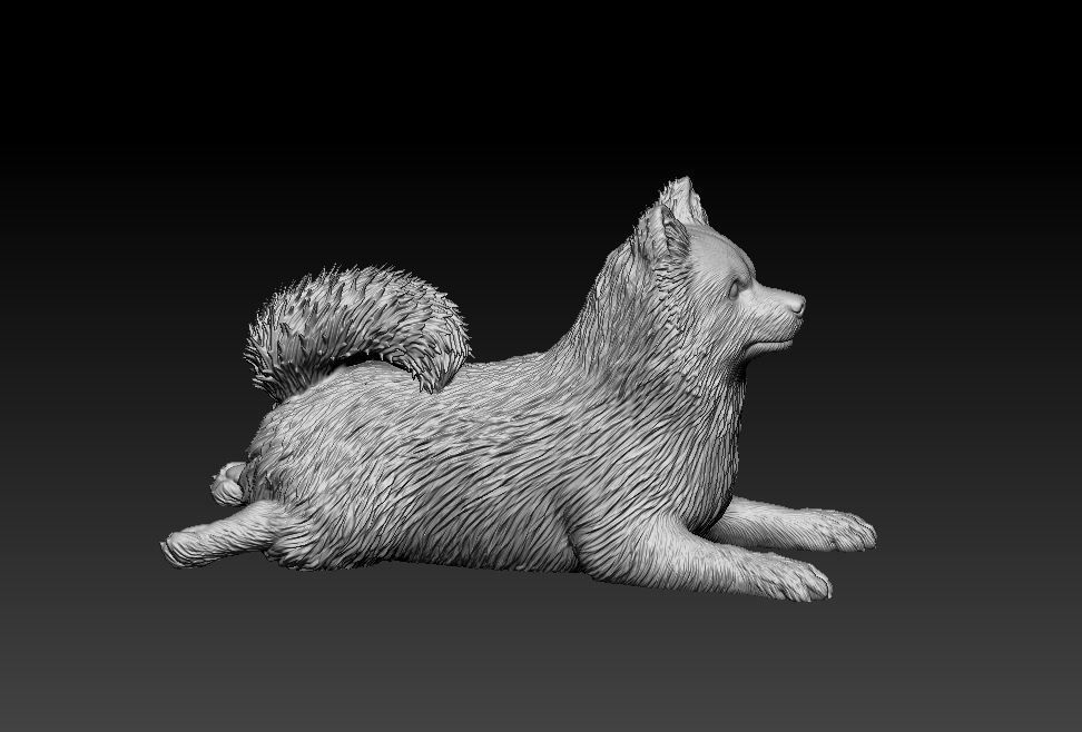 German Spitz 3D print model_9