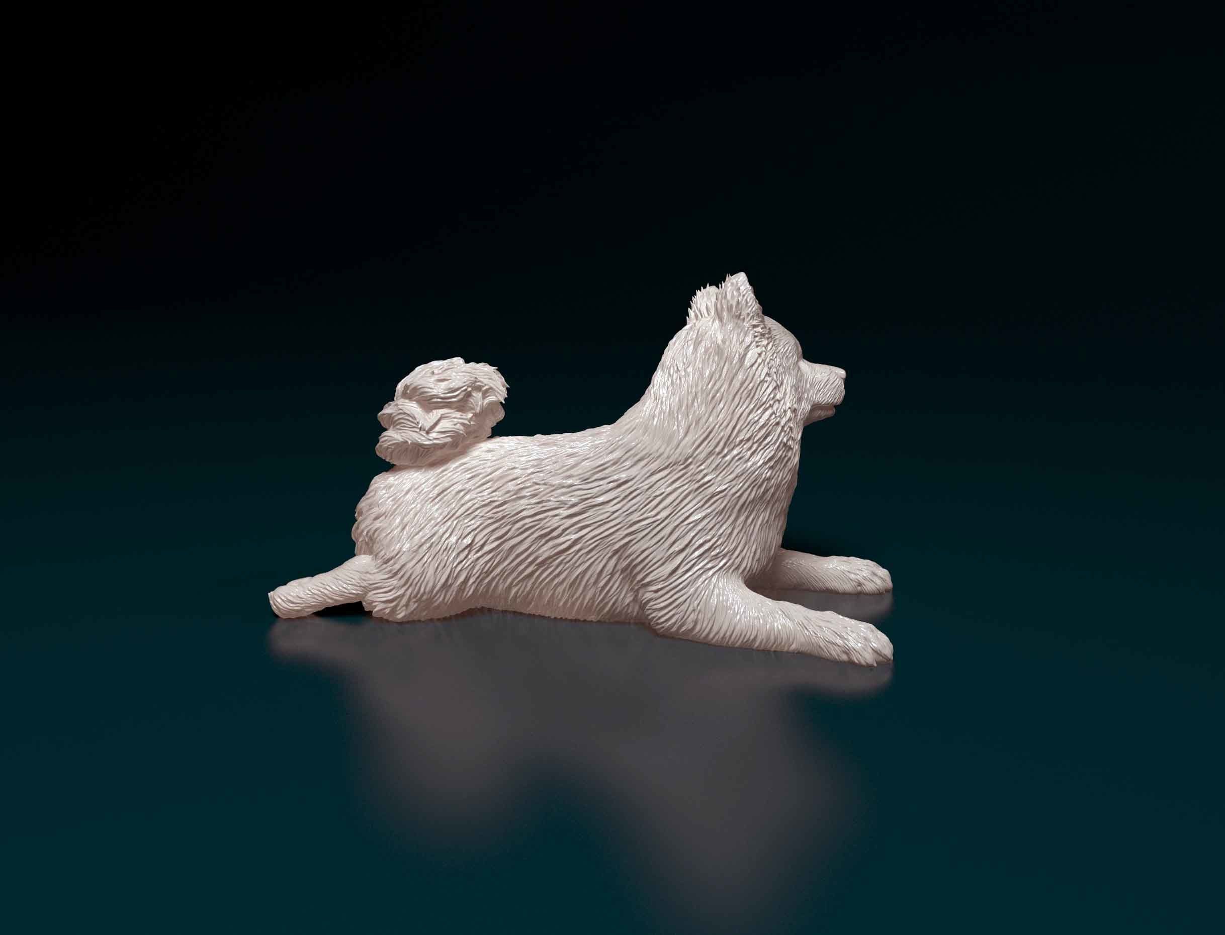 German Spitz 3D print model_2