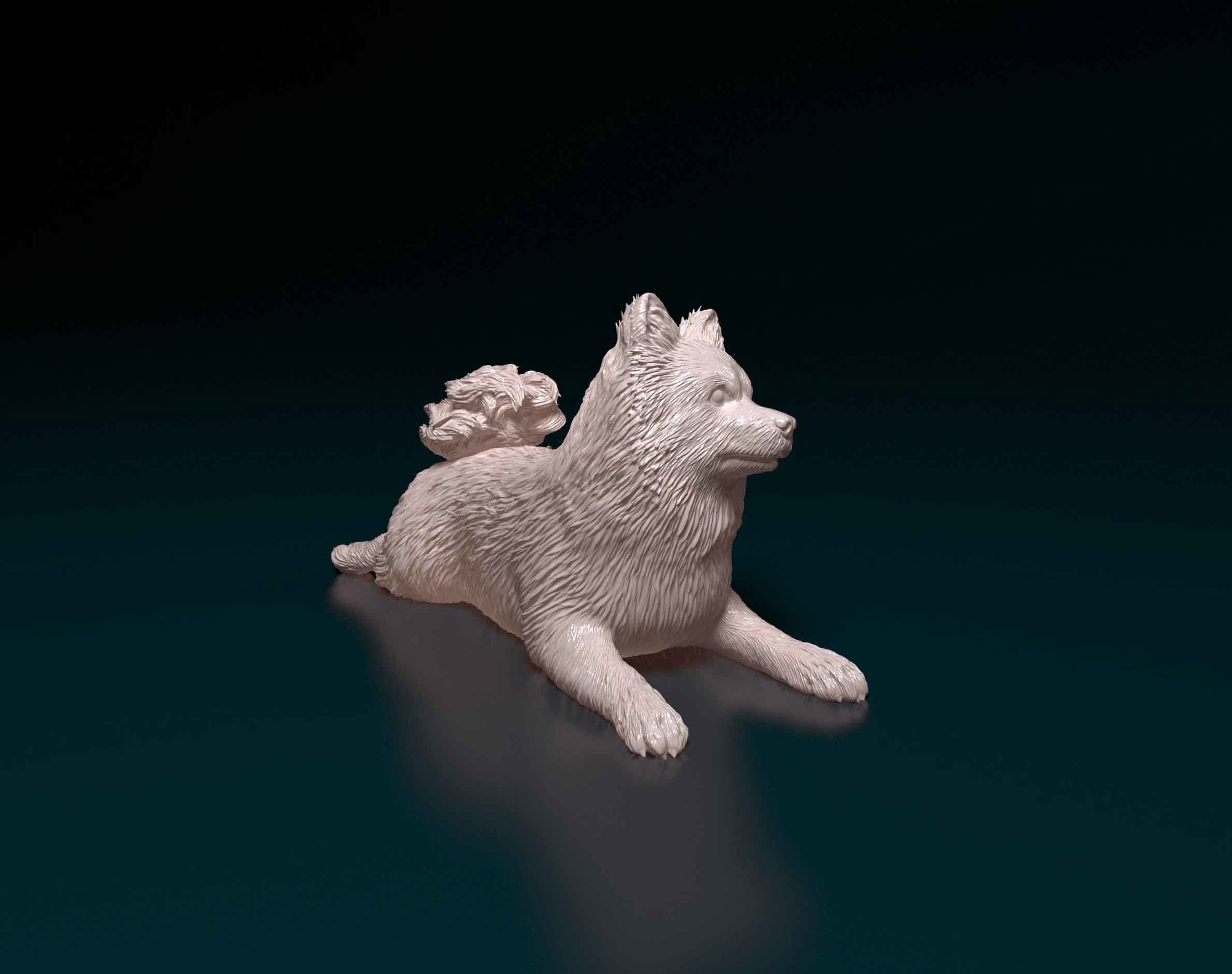 German Spitz 3D print model_1