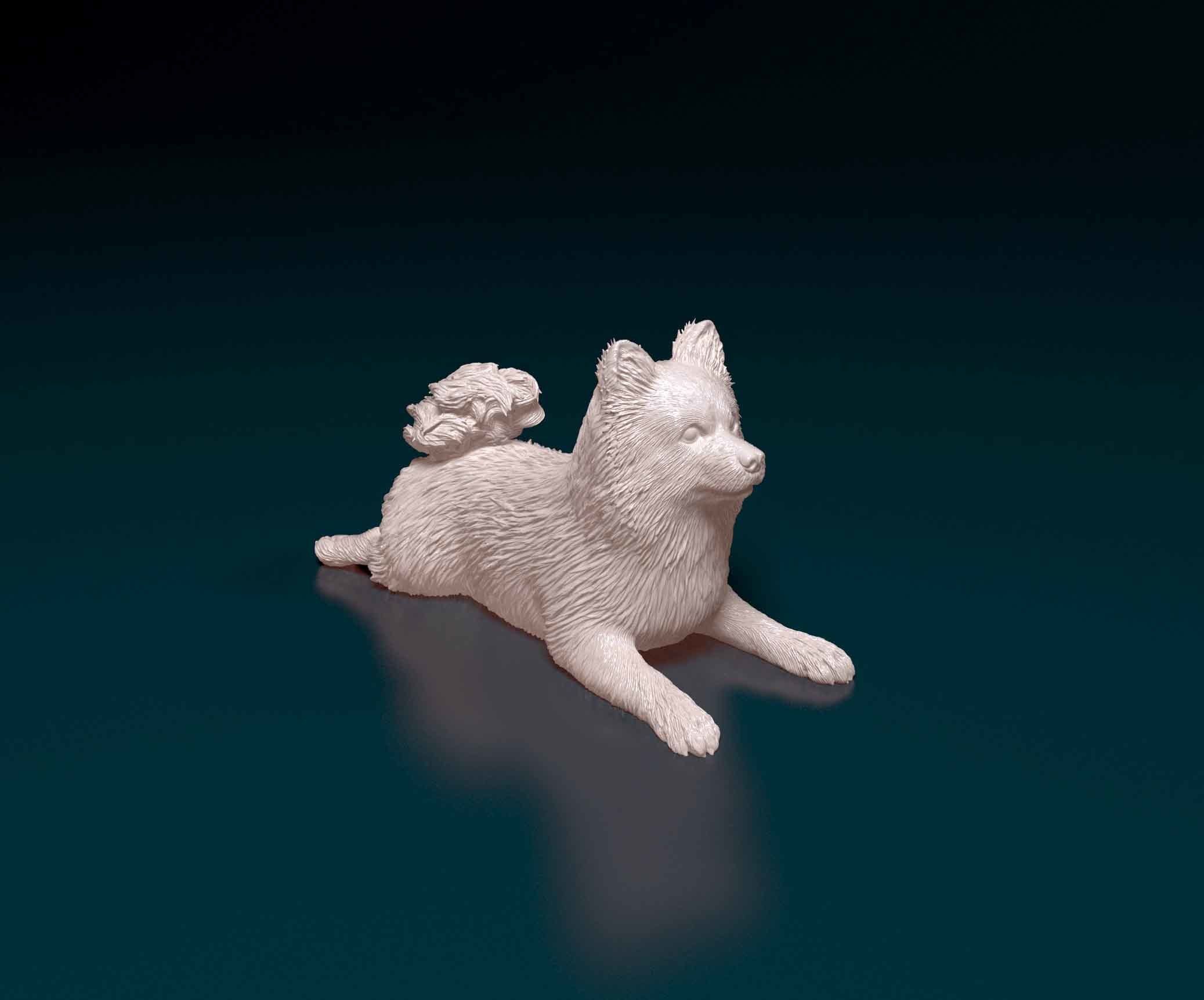 German Spitz 3D print model_7