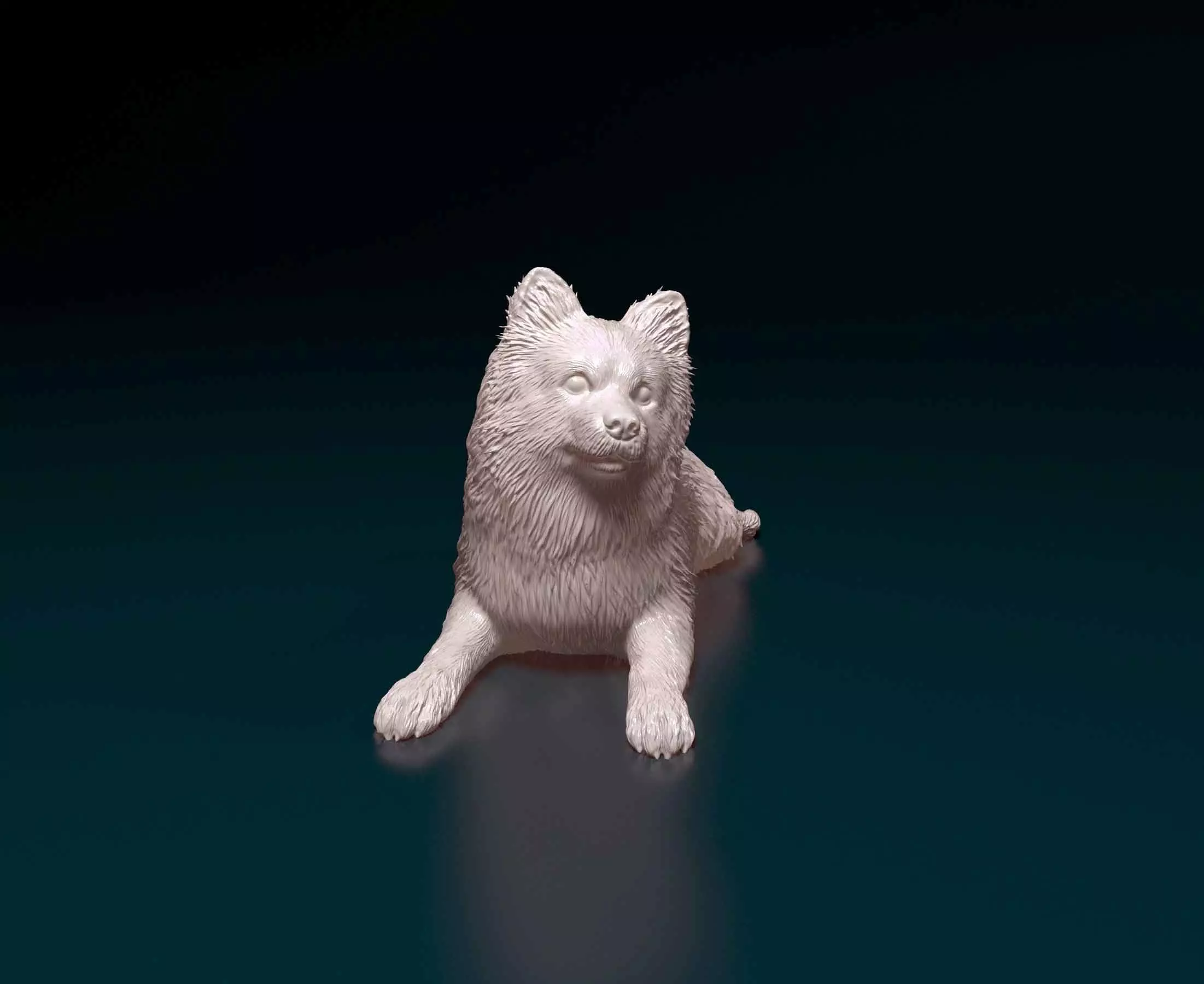 German Spitz 3D print model_0