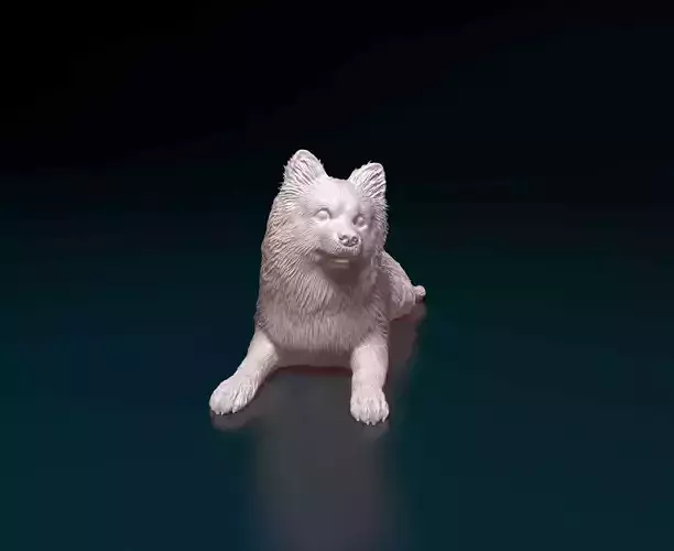 German Spitz 3D print model