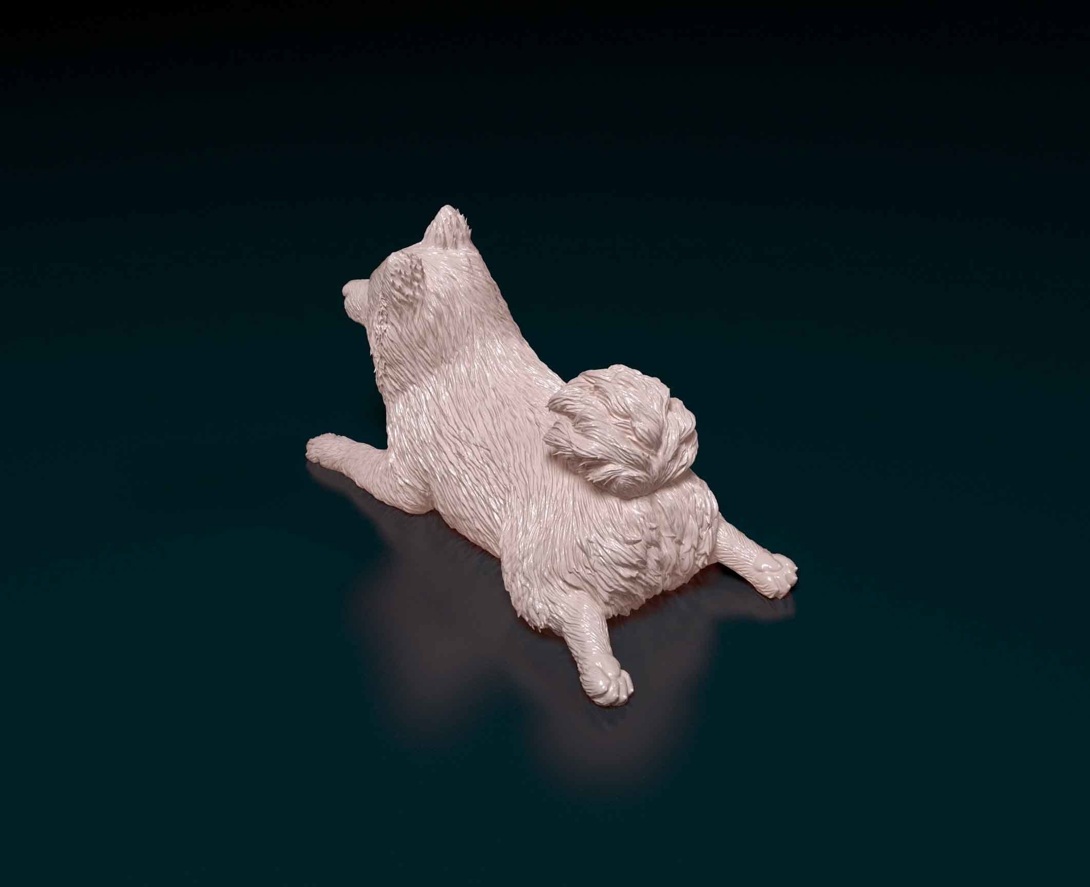 German Spitz 3D print model_5