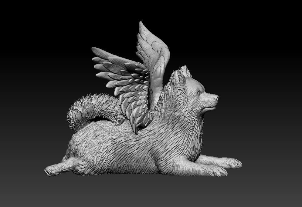 German Spitz 3D print model_8