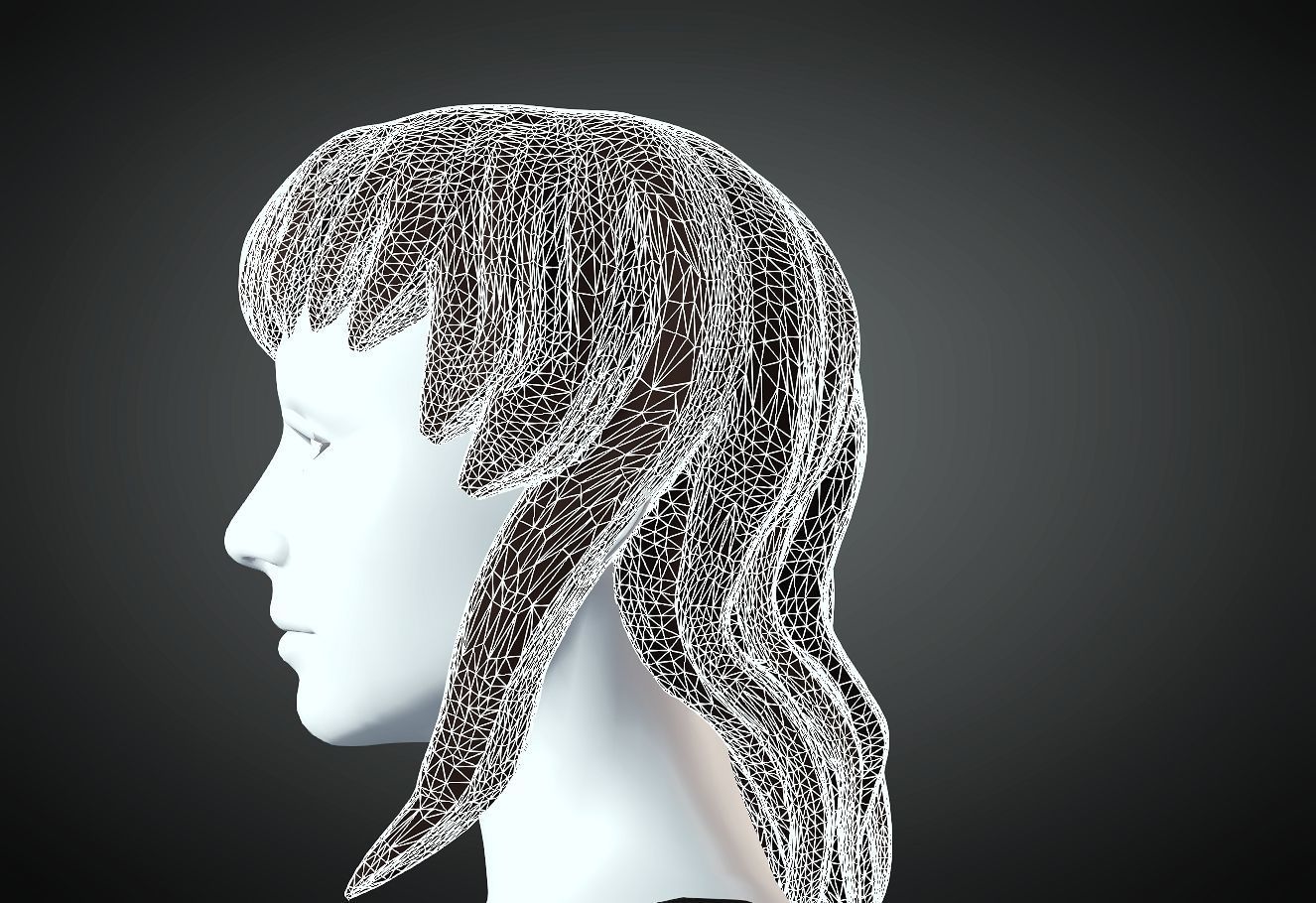 3D Hair style for Female 69 3D model 3D print model_5