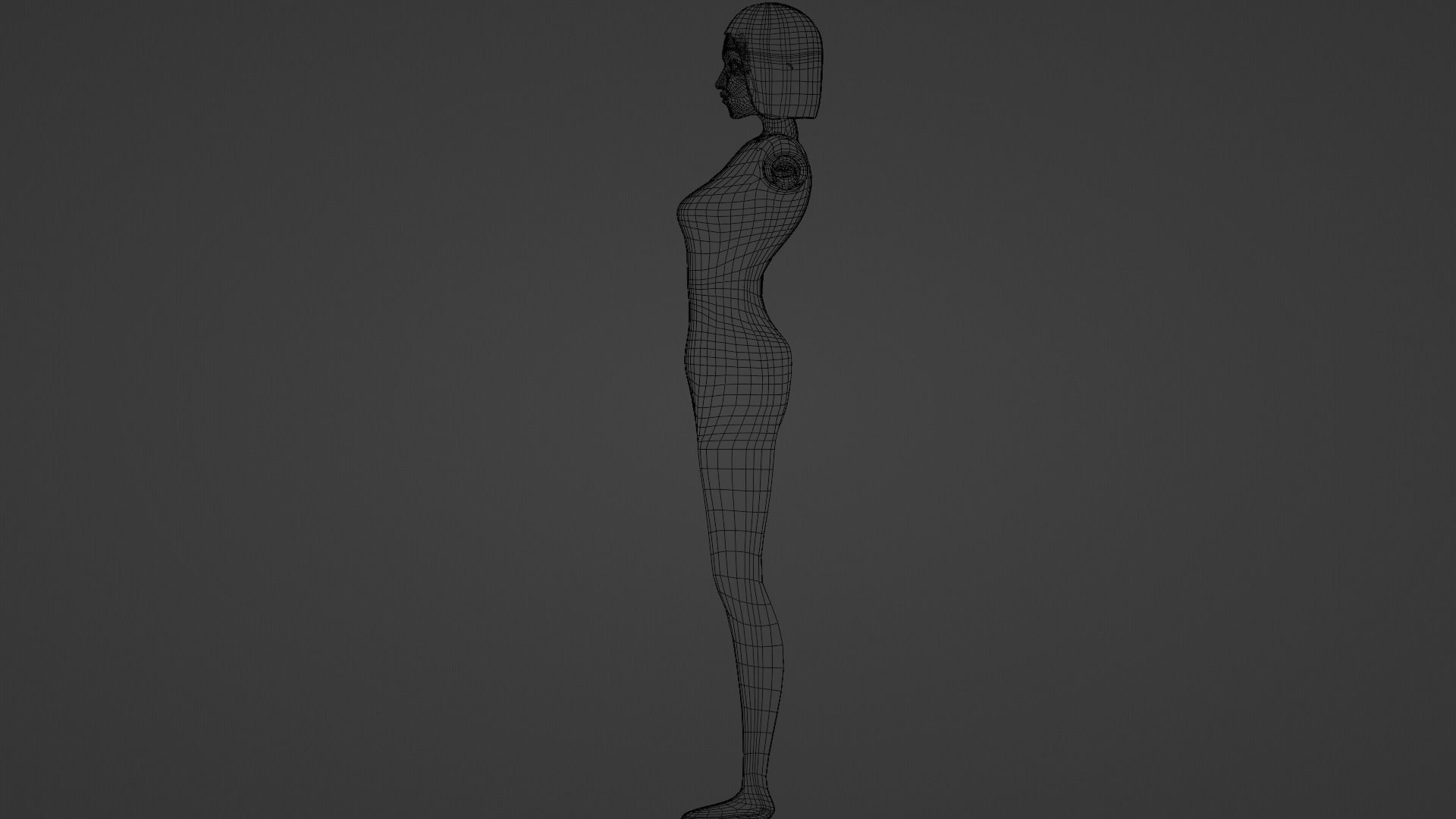 Female Body Rigged Low-poly 3D model_8