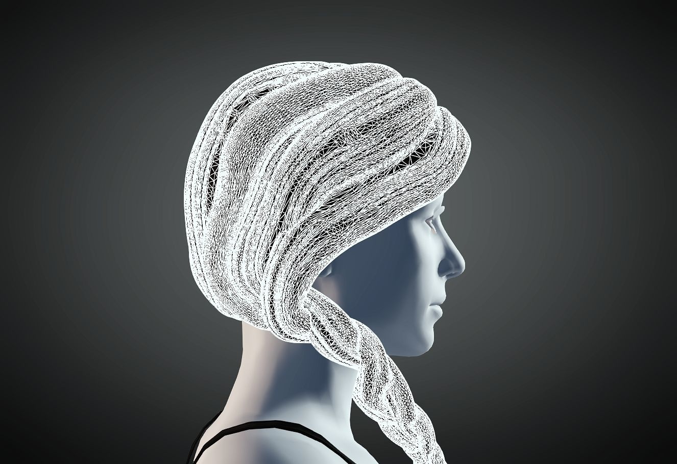 3D Hair style for Female 73 3D model 3D print model_6
