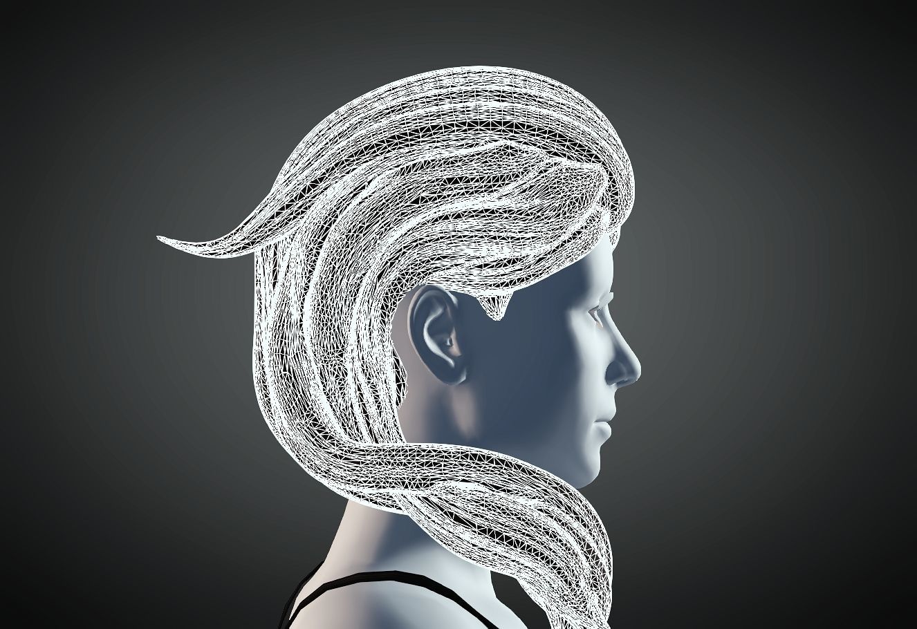 3D Hair style for Female 75 3D model 3D print model_6