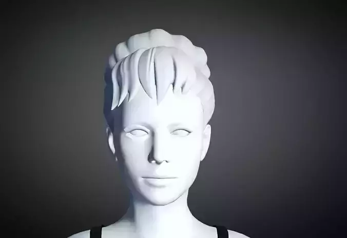 3D Hair style for Female 77 3D model