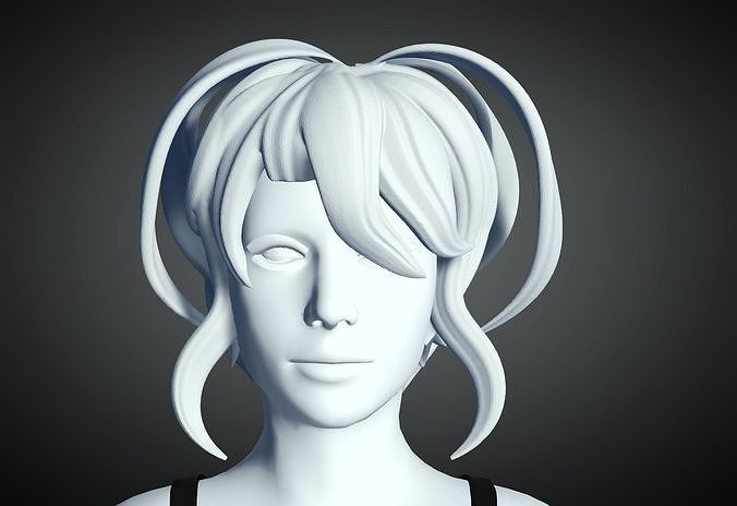 3D Hair style for Female 80 3D model 3D print model