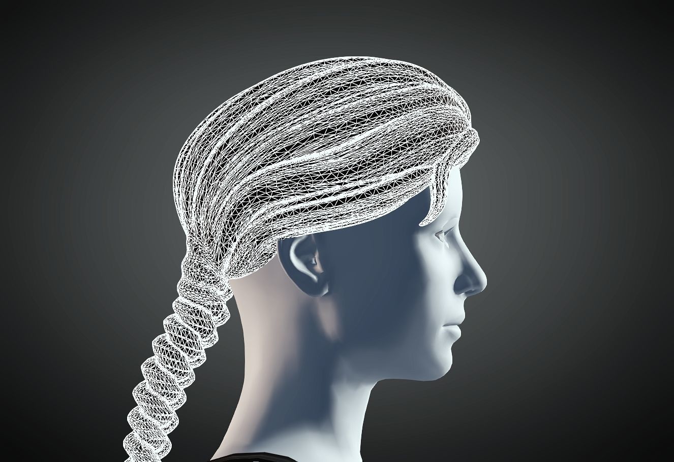 3D Hair style for Female 81 3D model 3D print model_6
