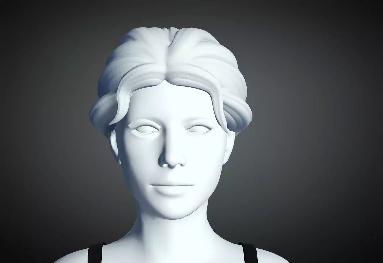 3D Hair style for Female 81 3D model 3D print model_0