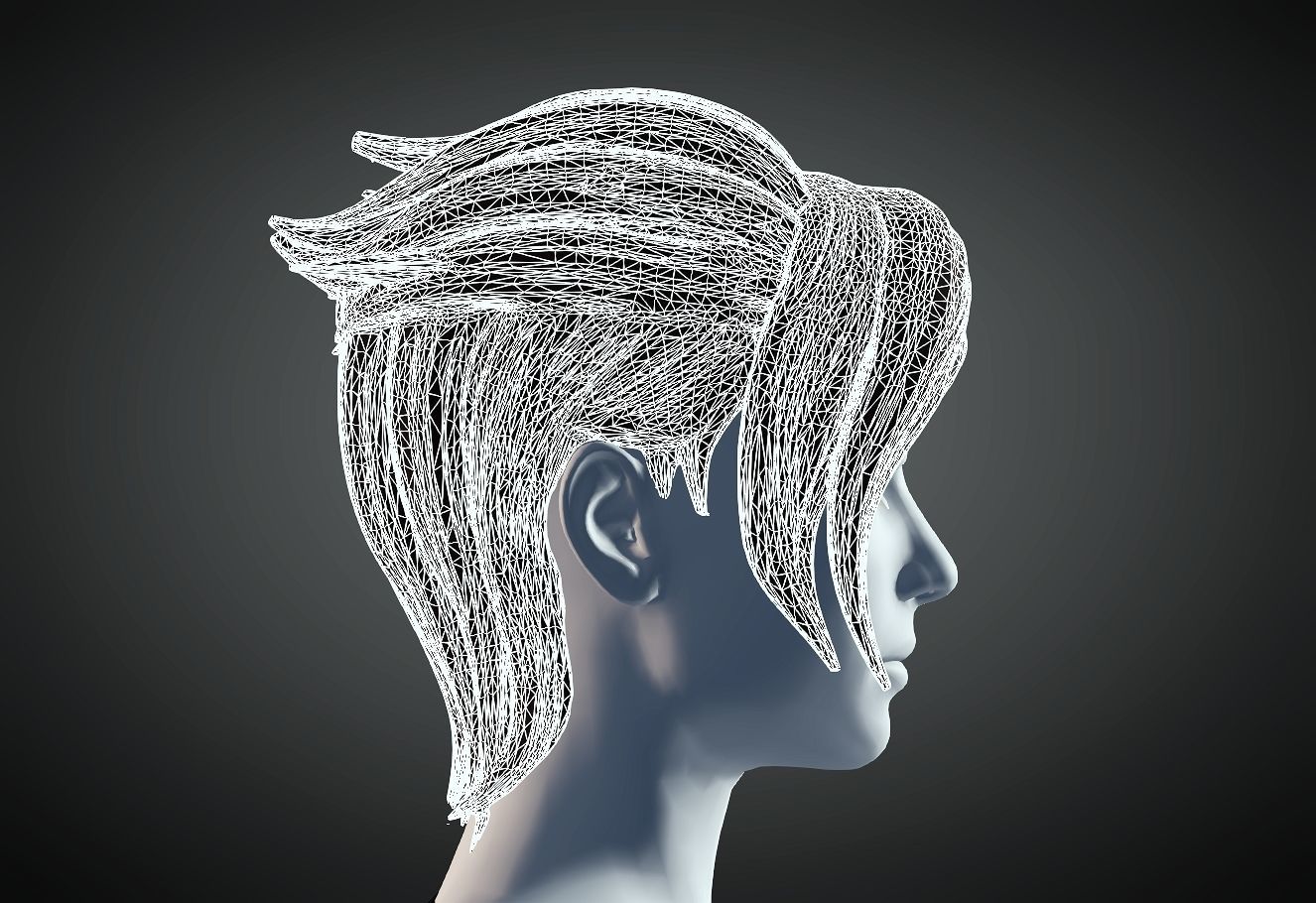 3D Hair style for Female 83 3D model 3D print model_6