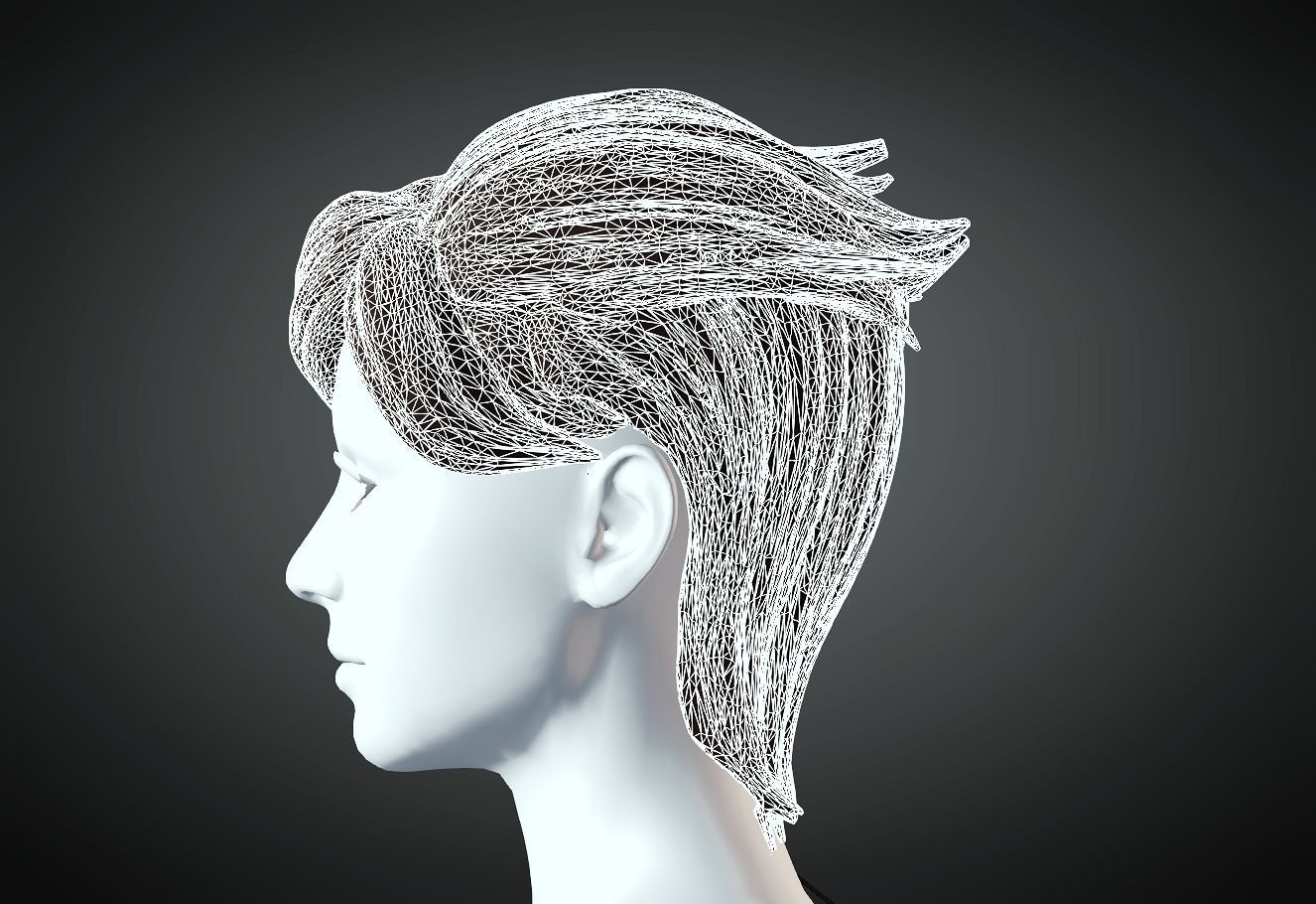 3D Hair style for Female 83 3D model 3D print model_5