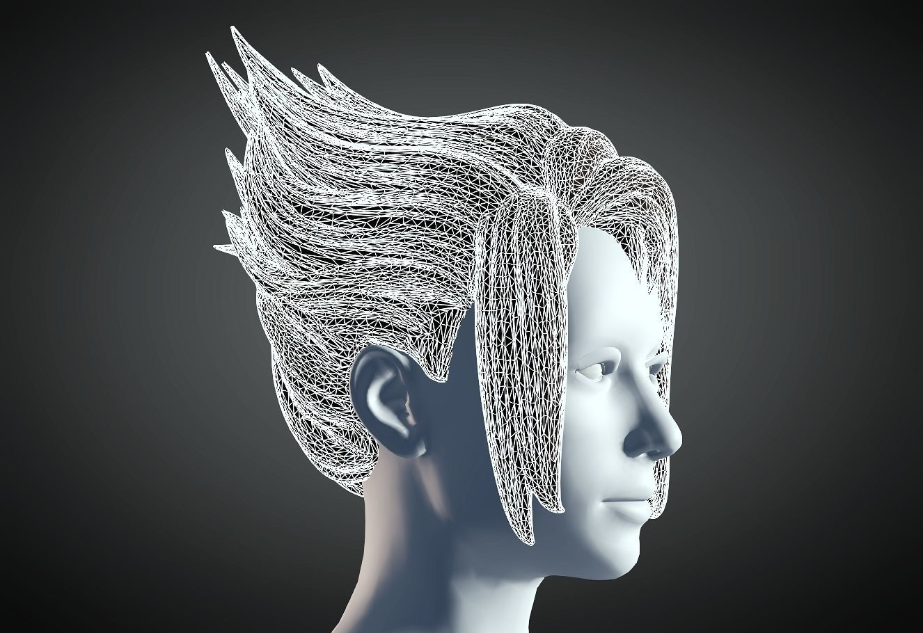 3D Hair style for Female 87 3D model 3D print model_6