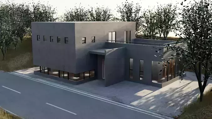 Japanese modern house