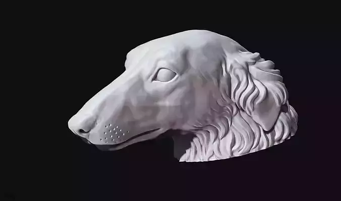 Borzoi Dog Head 3D print model
