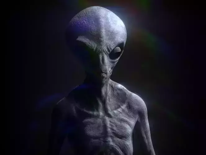 3D Alien Character 3D model
